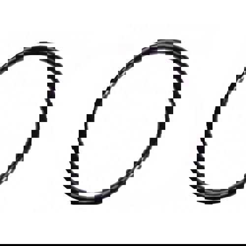 Viton O-Ring 75